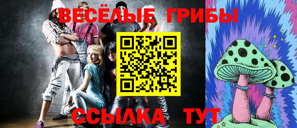Галлюциногенные грибы прущие грибы  Псилоцибиновые грибы мицелий  Калуга  Вход с VPN 